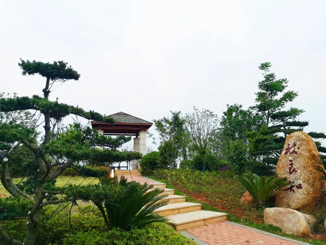 江西师范大学科学技术学院2022年江西省投档分数线公布