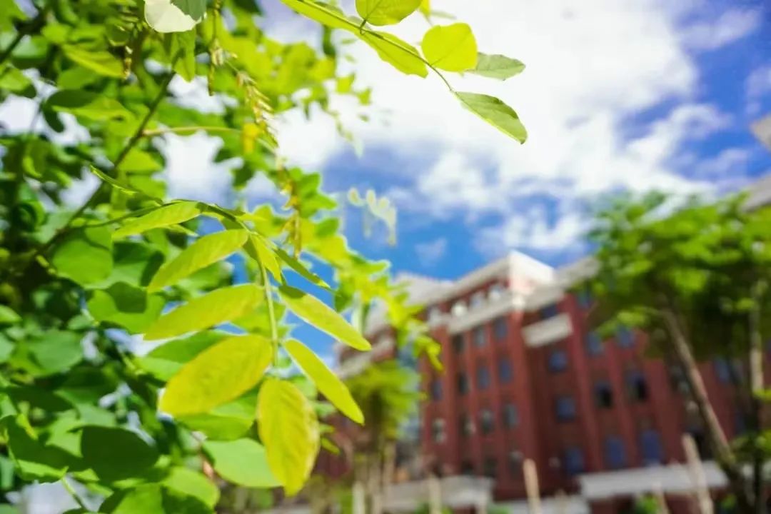 <a href='/zhuanlan/zhejiangbk/43/'>温州医科大学仁济学院</a>2022年福建省首轮招生<a href='/zhuanti/fenshuxian/'>录取分数线</a>